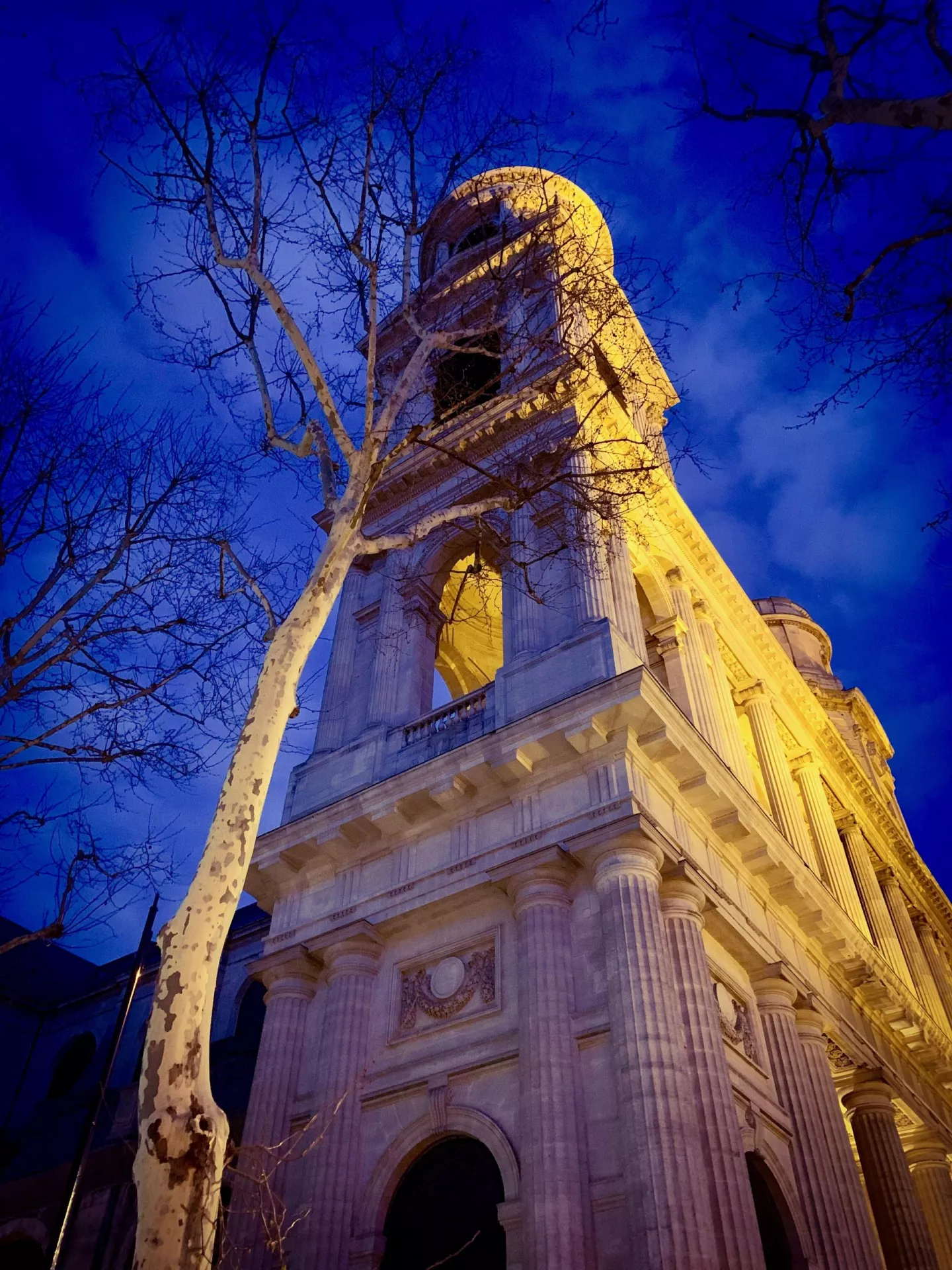 Looking up to a white marble cupola tower glowing yellow from artificial lighting from below, framed by a darkening evening sky with wispy clouds, which catch the last streams of sunlight. Limbs from winter barren trees subtly block the view.