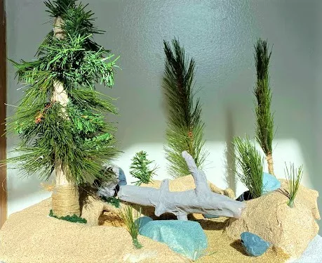 A photograph of a mixed media diorama that depicts a small glimpse into a natural sandy landscape where an outcropping of various sized trees & shrubs are scattered about around a fallen tree that is grey in color contrasting the beige sandy ground.  James' work was inspired by places in nature he remembered visiting.