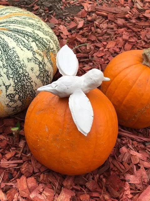 A photograph of a work that depicts a small white ceramic bird with its wings extended out at its sides and its head slightly lifted as if it is about to take flight from the real pumpkin it is perched on.  The ceramic piece is left unglazed and free of any detail except for its own basic form which contrasts with the real-life natural setting of the pumpkins.  The pumpkins are atop a reddish wood chipped ground where all has been placed and photographed (in situ).
