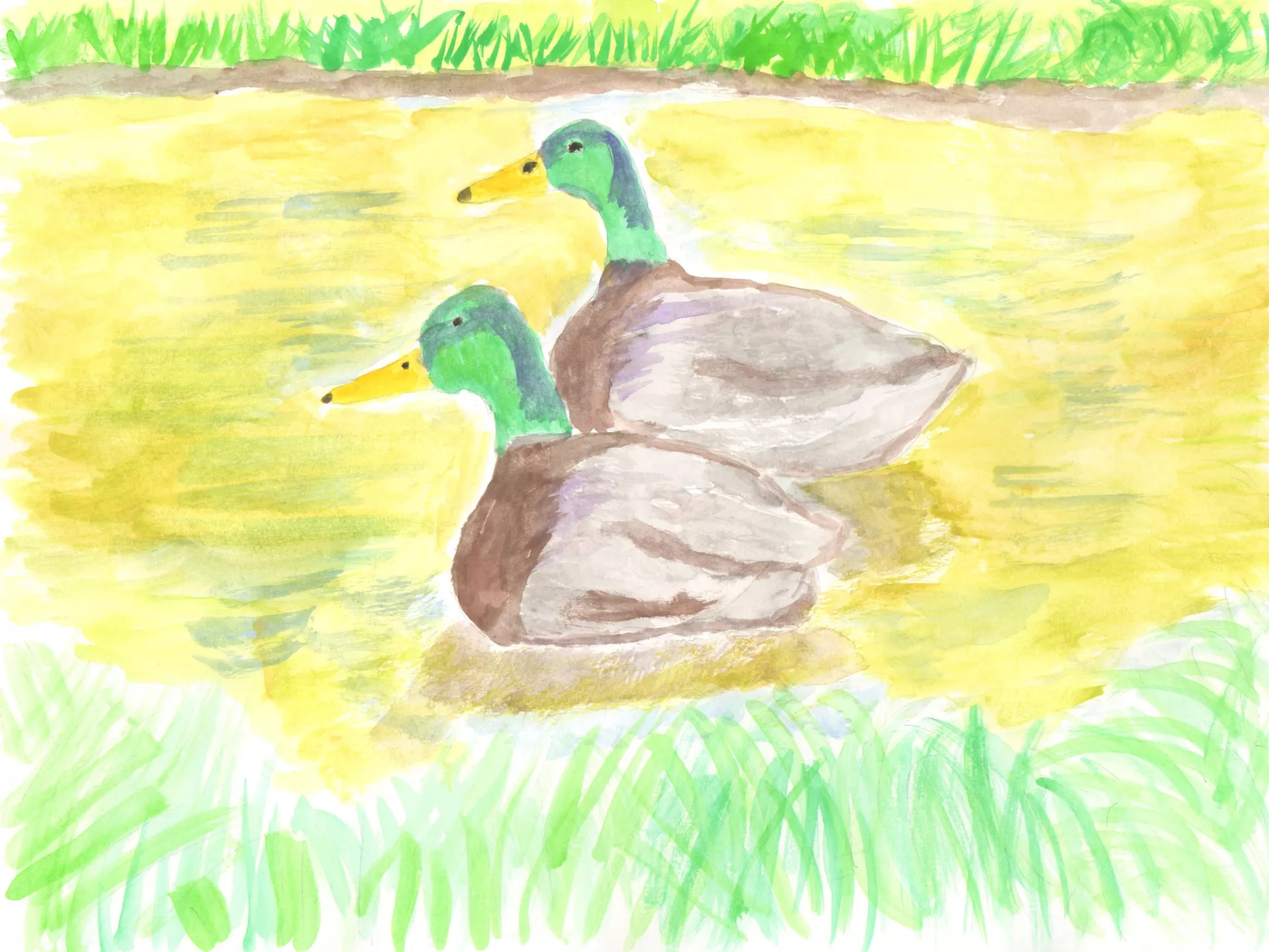 Andrew Yin Ducks in the Pond, 2022. Two ducks swimming side by side in a pond surrounded by vegetation. Watercolor on paper, 9" x 12”