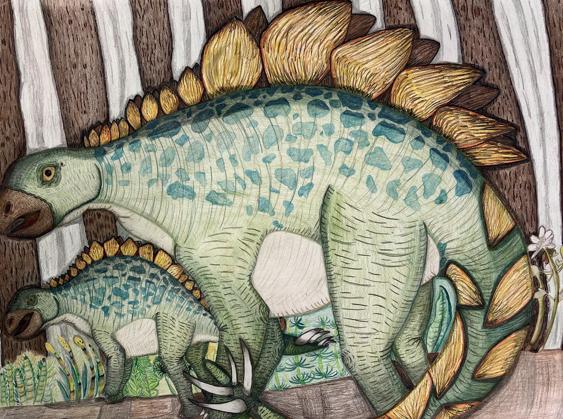 Jenna Greene Stegosaurus Lived in the Cretaceous Forest, 2022 This colorful drawing features two dinosaurs, a big Stegosaurus fills the image and a second smaller one is in the background. In shades of green with yellow, they stand amid the giant trunks of prehistoric trees. The shading and detailing on the dinosaurs and the environment that surrounds them gives this picture great presence.  Colored pencil on paper, 18” x 24”