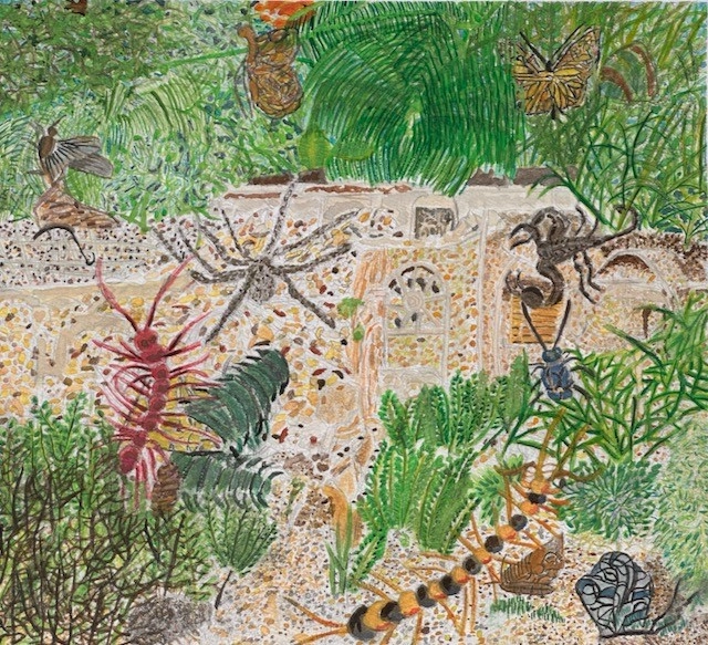 The viewer is zoomed down on the ground where in a nearly surrealist intricate detail black insects, a brown moth, a gray spider, a yellow and black centipede and a red millipede crawl through grainy dirt and gravel amidst a variety of small plants and grasses.
