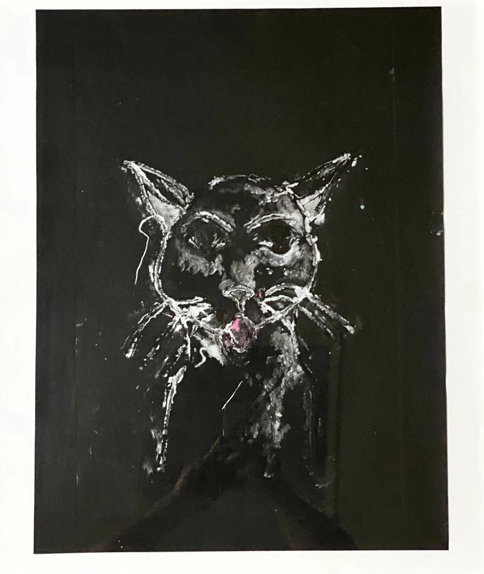 This vertical rectangular print on black paper features the ghostly image of a light gray cat. Its pink tongue sticks out in stark contrast to the monochromatic feel.