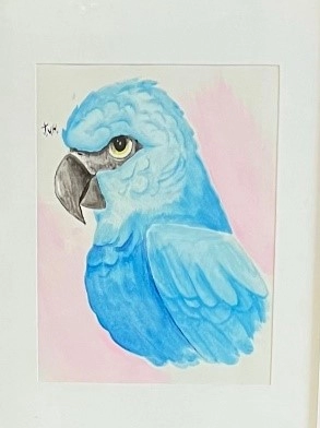 On a wash of a delicate pink background, a light blue parrot’s head and wing profile are depicted with a yellow eye, and a dark gray beak.