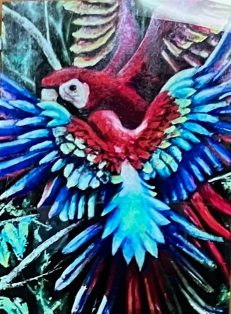 In a jungle, a small macaw with a red feathered head and a tail of multiple blues with wings extended is flying towards a larger red macaw with a white patched eye. The larger macaw’s wings are stretched back where its yellow feathers can be seen.
