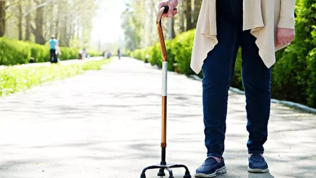 Person using a quad cane while standing on a pathway outdoors